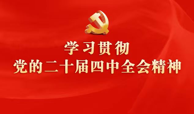 学习贯彻党的二十届四中全会精神
